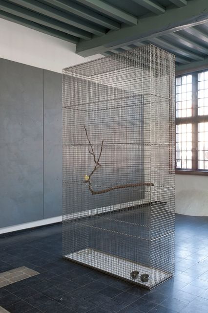 Lucas Lenglet, Stainless steel, bird, branch, One cage for one bird, 2015