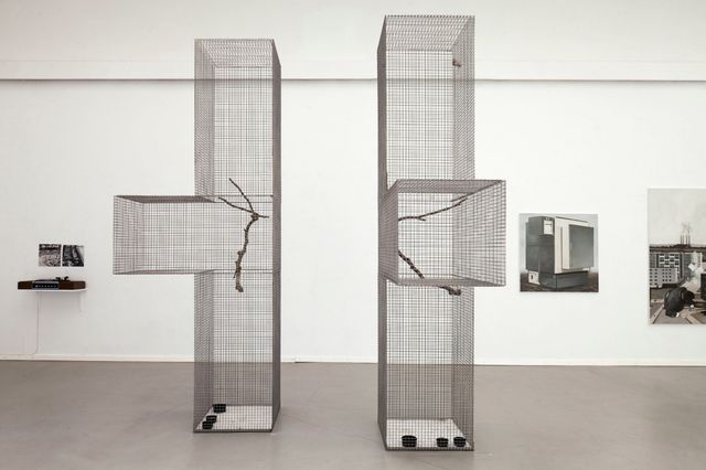 Lucas Lenglet, Steel wire mesh, stainless steel, polyurethane cast, canary, common linnet, Two cages with annex, 2014