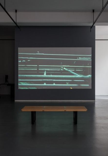 Saskia Olde Wolbers, Voice over Tom Brooke, 18 min HD video, Yes, these eyes are the windows (Installation), 2015