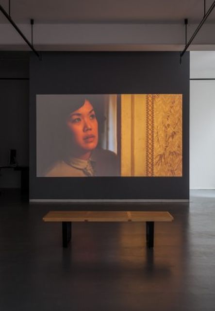 Saskia Olde Wolbers, Voice over Tom Brooke, 18 min HD video, Yes, these eyes are the windows (Installation), 2015