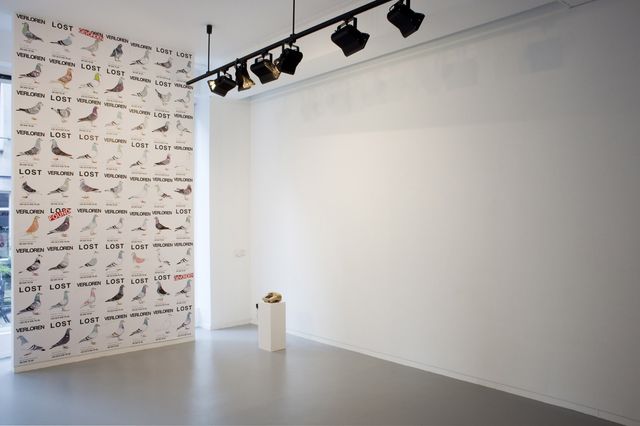 Pilvi Takala, Poster and 5 minutes sound, Lost Pigeons (Installation view), 2012