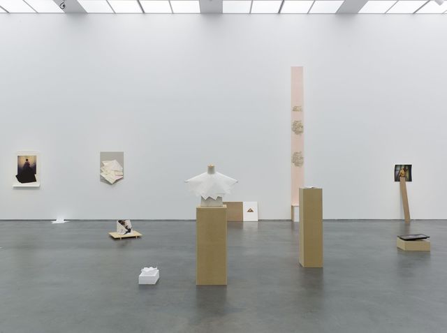 Jimmy Robert, Museum of Contemporary Art Chicago, Vis-à-vis, exhibition overview, 2012