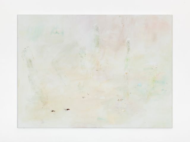 Maaike Schoorel, Oil on canvas , Desert Plants, 2018