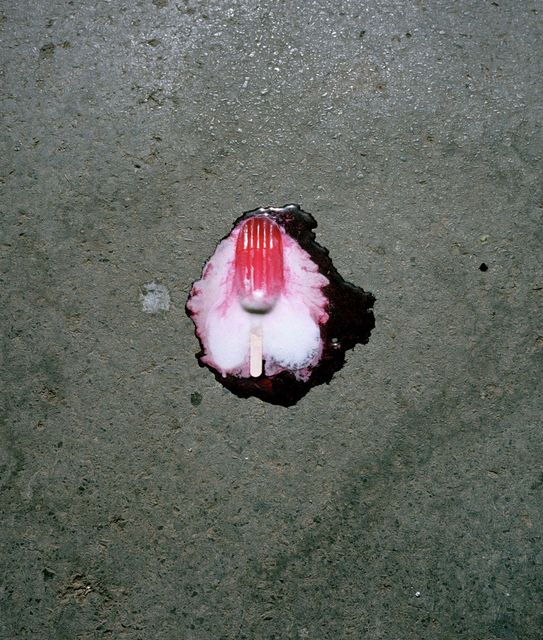 Elspeth Diederix, C-Print Ed.5, Ijsje, 2003