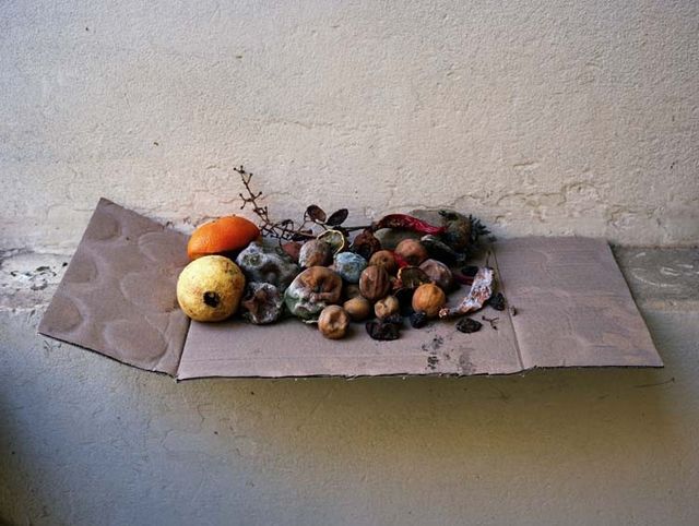 Elspeth Diederix, C-Print Ed. 5, Fruit Still Life, 2008