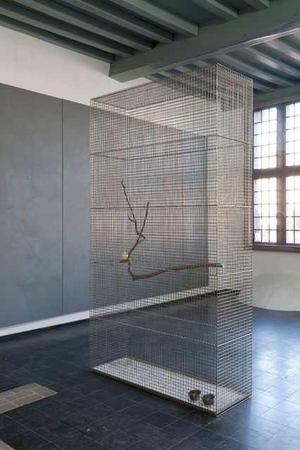 Lucas Lenglet, Stainless steel, bird, branch, One cage for one bird, 2015