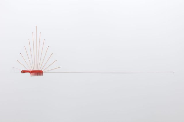 Amalia Pica, Head of the screw, eye of the needle, teeth of the comb, head of the nail, Catachresis #25, 2012