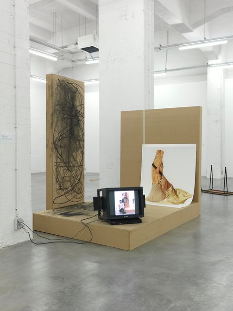 Jimmy Robert, Installation, Installation view Wiels, 2009