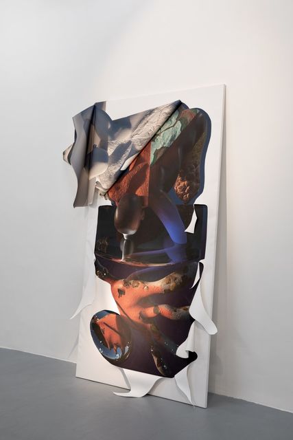 Kévin Bray, Digital print, Installation view Polansky Gallery, 2019