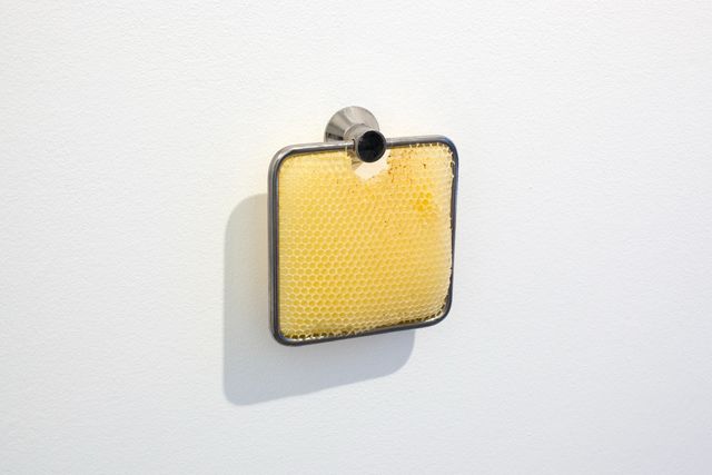 Sema Bekirovic, Mixed media, Untitled (Honeycomb), 