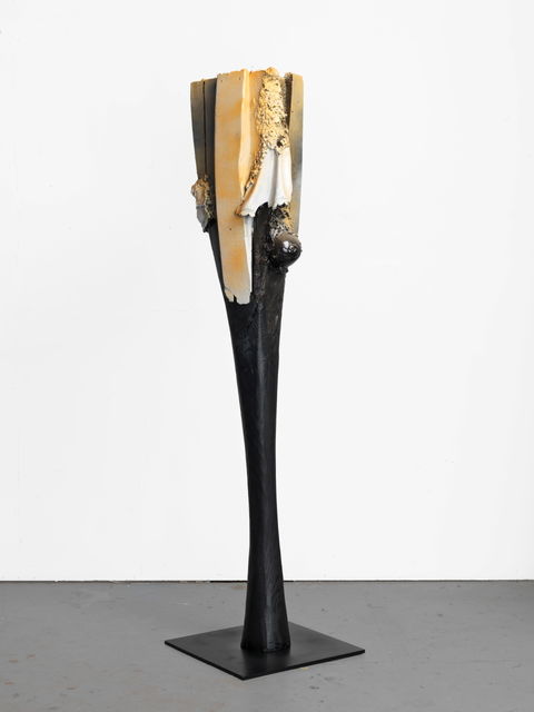 Thomas Helbig, Mixed media, Fear and Form and Muse, 2011