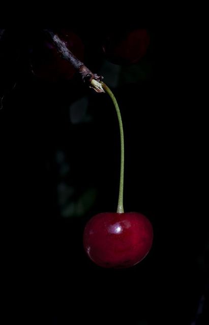 Elspeth Diederix, C-print Ed. 5, Cherry, 2013