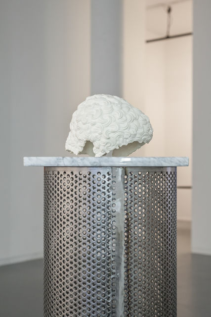 Daniel Van Straalen, Stainless steel, plaster sculpture, marble, Hairdo 2, 2015