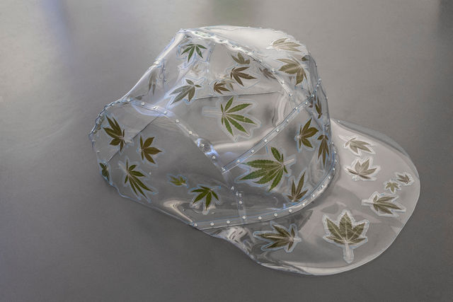 Daniel Van Straalen, Plastic, cannabis leaves, Cap 2, 2017