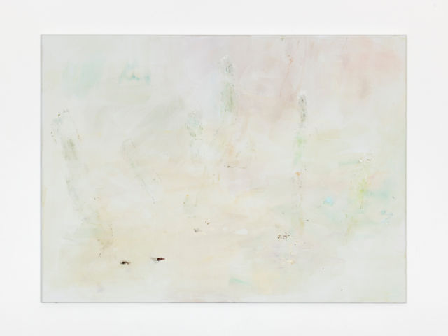 Maaike Schoorel, Oil on canvas, Desert Plants, 2018