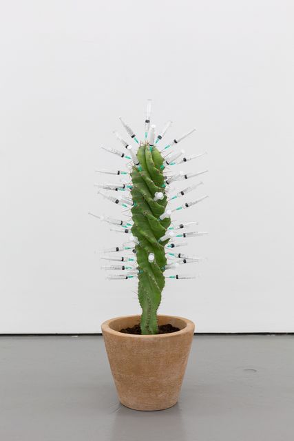 Daniel Van Straalen, Cactus in clay pot, syringes, Seasonal Greetings, 2019