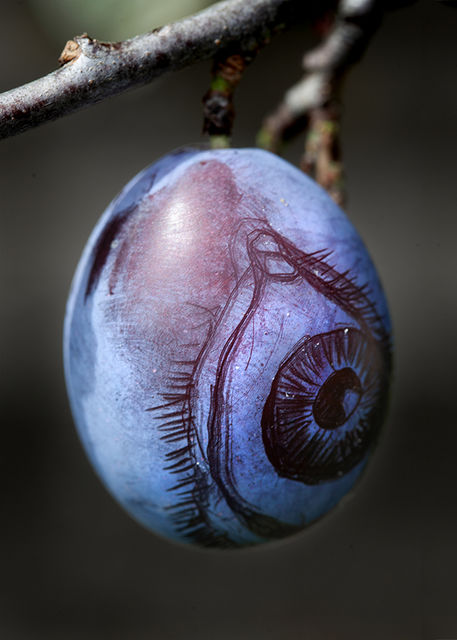 Elspeth Diederix, Fine Art Print, Framed, Plum Eye, 2025